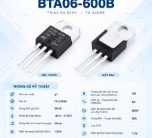 BTA06-600BRG